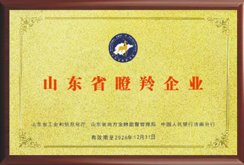 2023年7月荣获“山东省瞪羚企业”